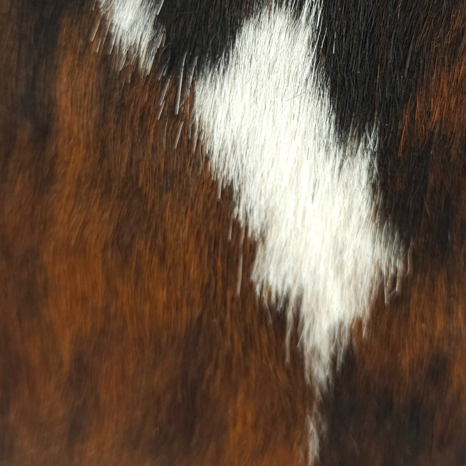 Bolso bucket en Piel Pregato Alessia Premium Brown - KimondoShop